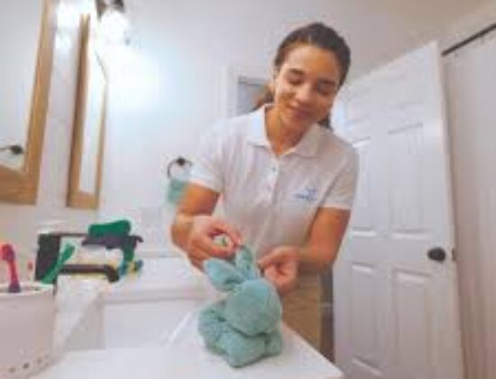 MaidPro North Houston