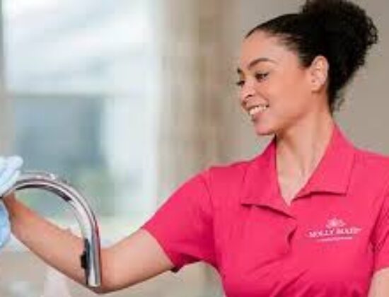 Molly Maid of NW Houston