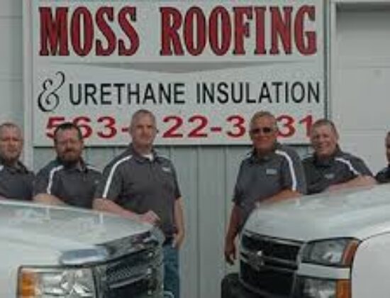 Moss Roofing Houston
